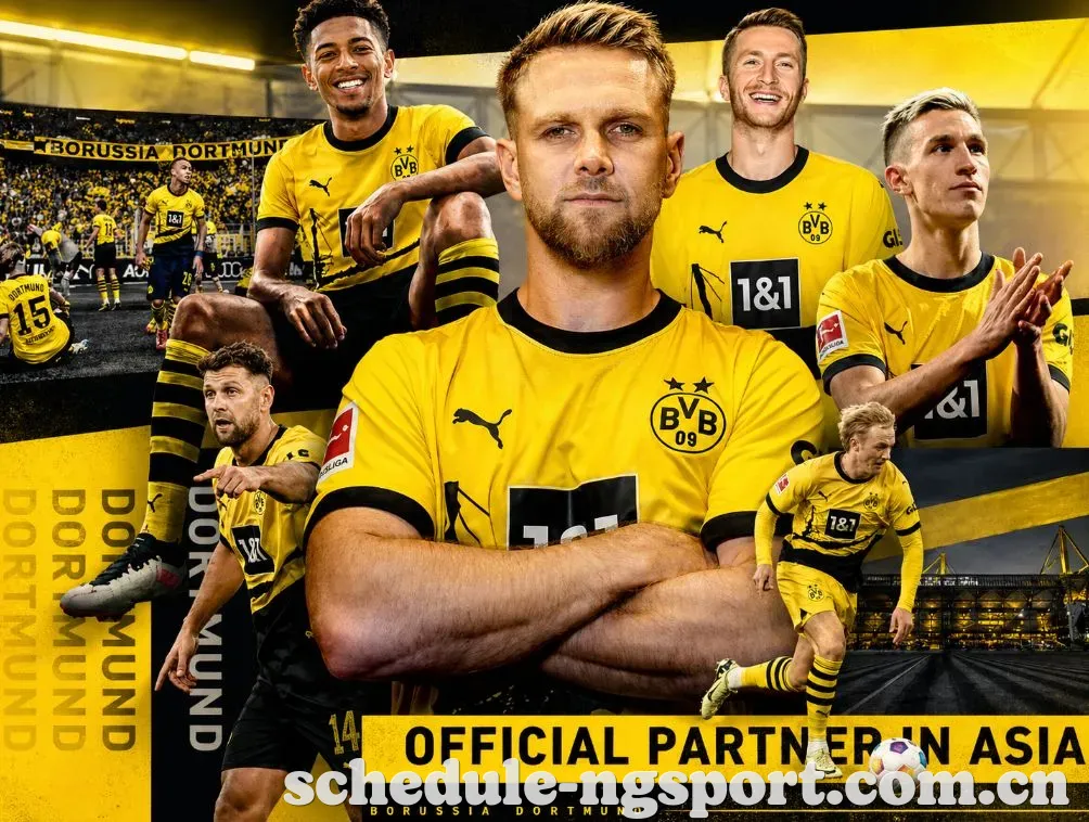 南宫体育APP 封面图